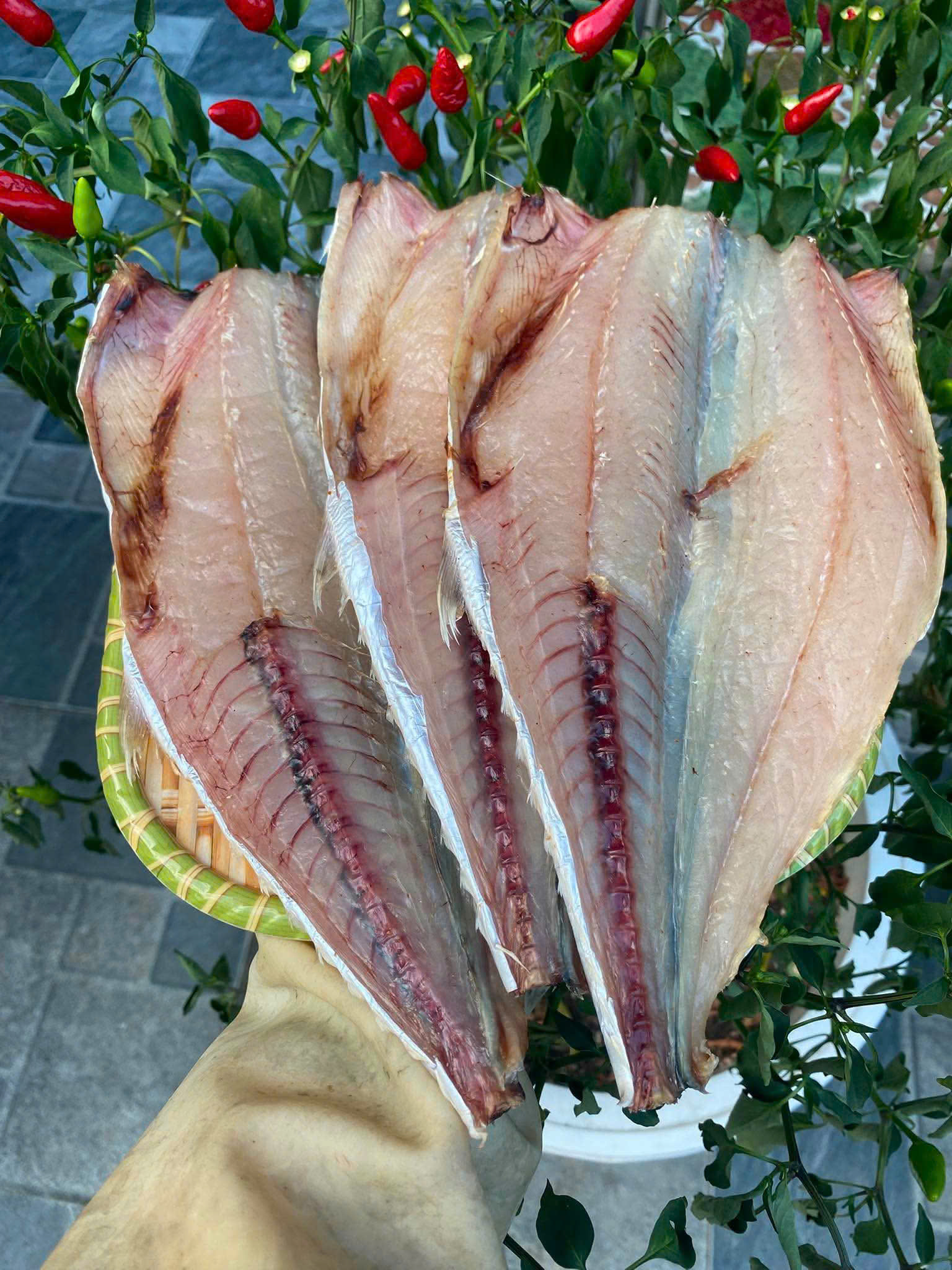 Cá Thu Bé 1 Nắng