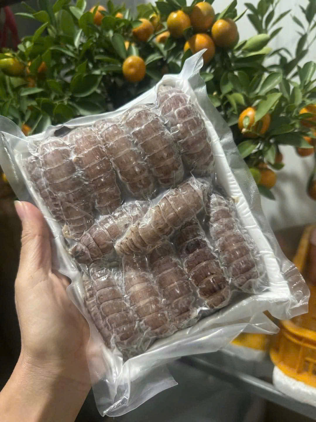 Bề Bề Nõn