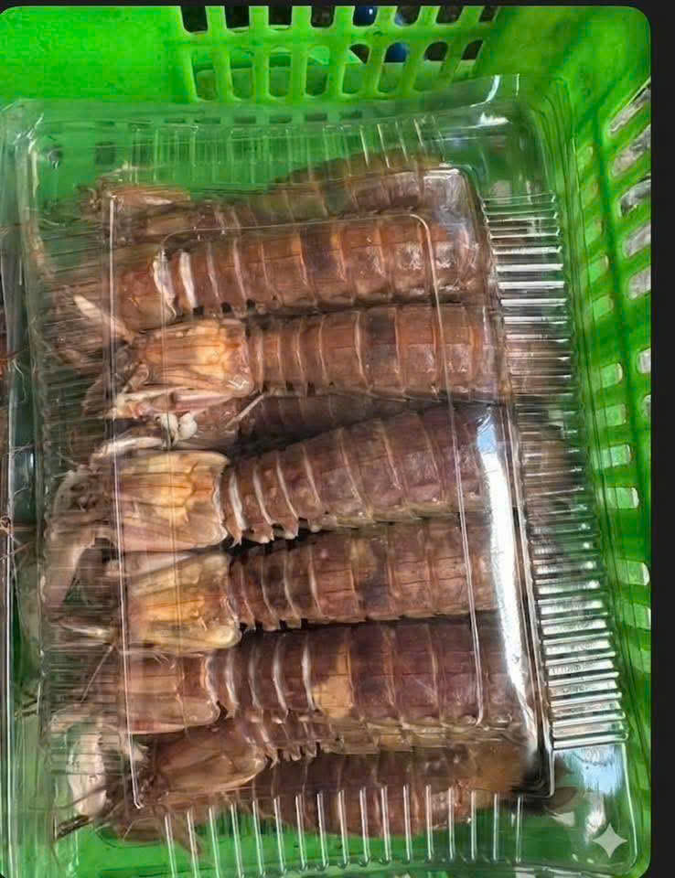 Bề Bề Hấp Sơ (Lộn Xộn)