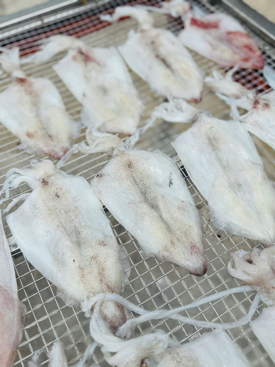 Mực Ống Tự Phơi (Hiếm)